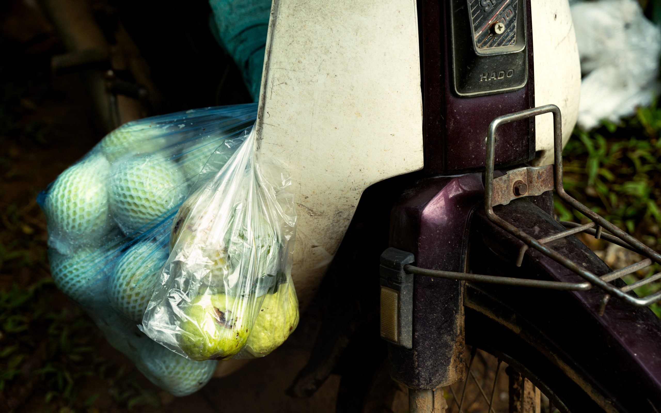« Les fruits ambulants » - Tân Sơn, Vietnam (nord), 2024.