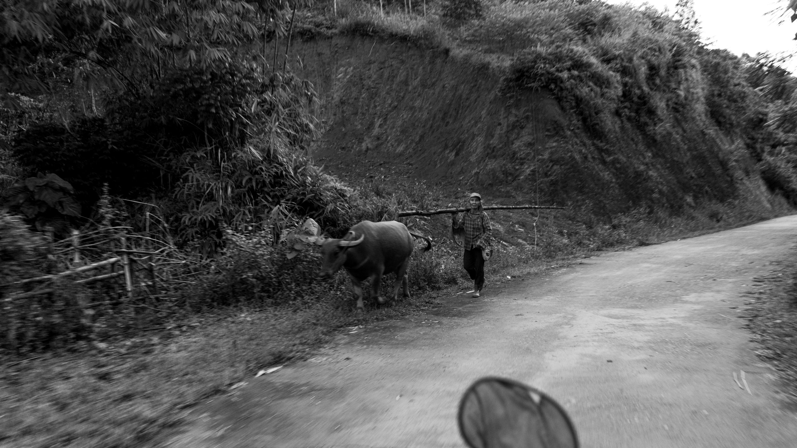 « Sur mes terres » - Tân Sơn, Vietnam (nord), 2024.